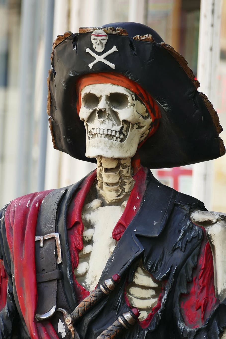 red and black skeleton with pirate costume at daytime, skull