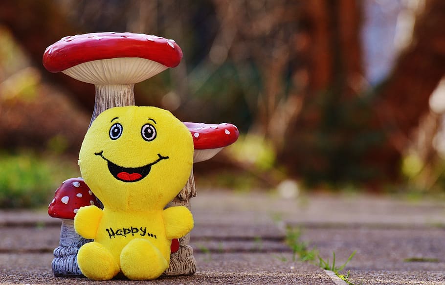 smiley, laugh, funny, emoticon, emotion, yellow, green, cheerful, HD wallpaper