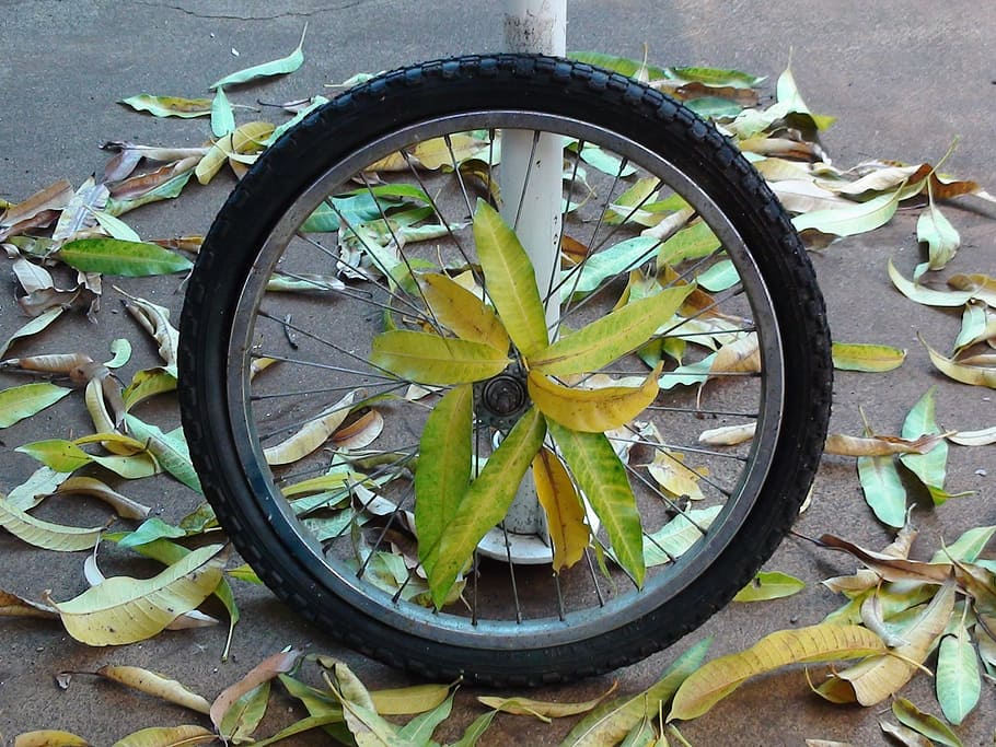 wheel, bike, stolen, tire, bike tire, leaves, rim, spokes, leaf, HD wallpaper