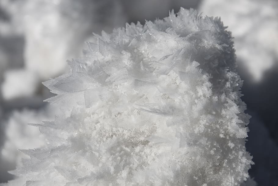 eiskristalle, snow, white, cold, focus on foreground, close-up HD wallpaper