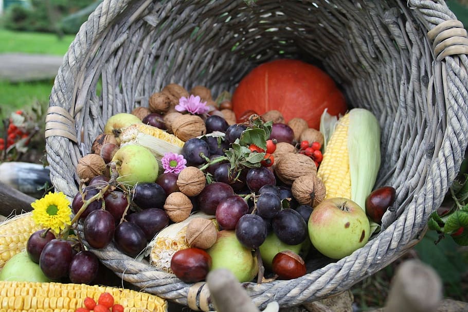 fruit, autumn, grapes, food, basket, nature, freshness, organic HD wallpaper