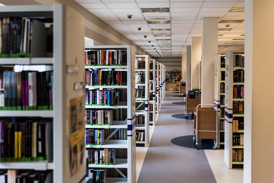 library, book, reading, education, knowledge, rent, kielce HD wallpaper