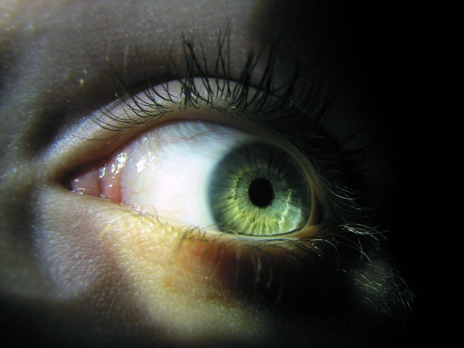 Eye, Macro, Iris, Watch, szupermakró, eyelash, skin, human eye HD wallpaper