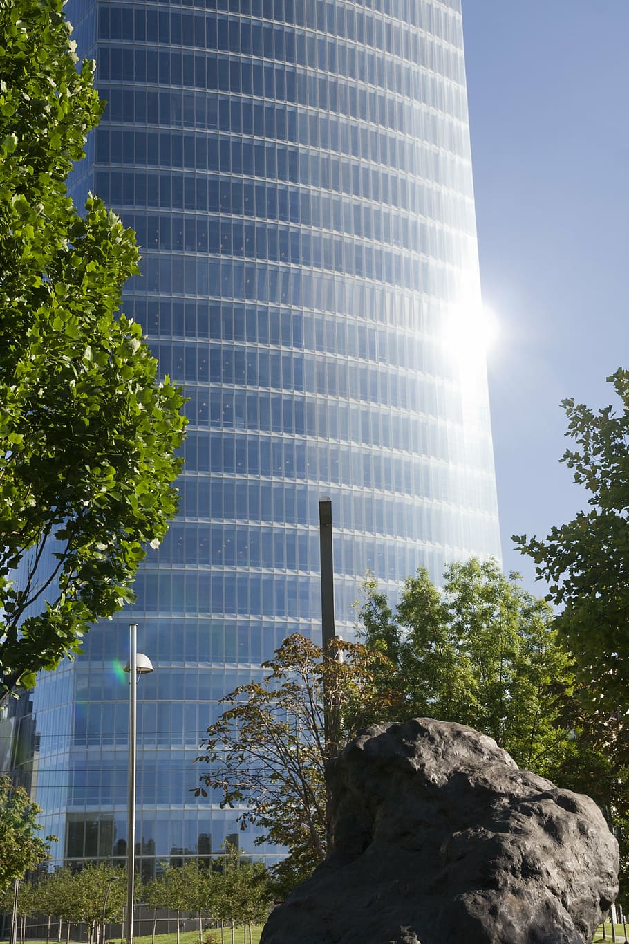 building, light, plants, architecture, glass, window, sunlight HD wallpaper