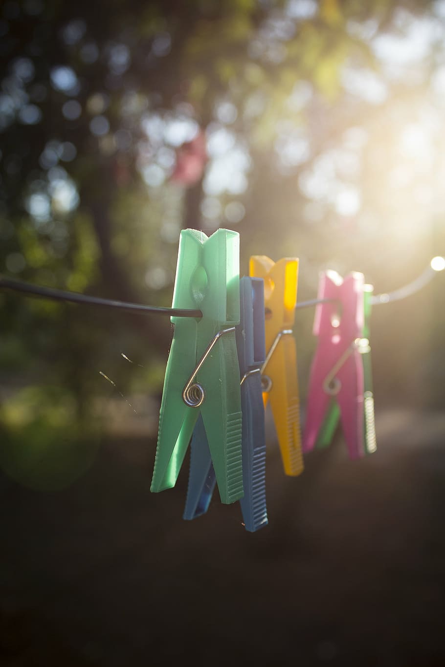 assorted-color clips on black wire, pin, clothespin, colorful