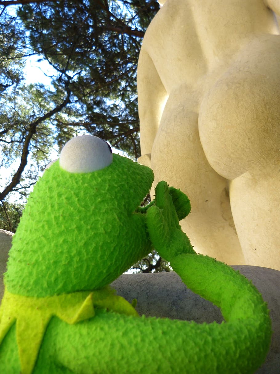Kero the frog doll, kermit, amazed, butt, look, figure, statue HD wallpaper