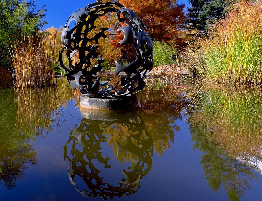 sculpture, about, pond, mirroring, botany, freiburg, autumn HD wallpaper