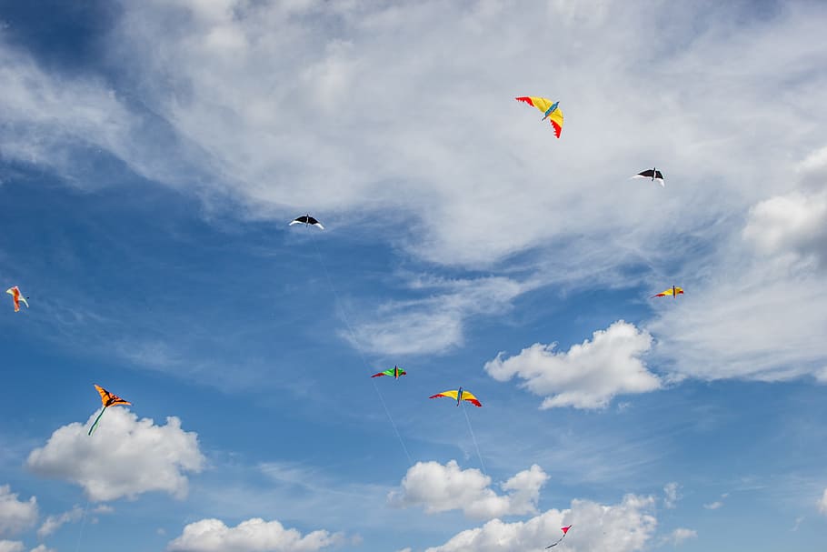 Kites, Clouds, Clear, sky, summer, carelessness, blue, snakes HD wallpaper