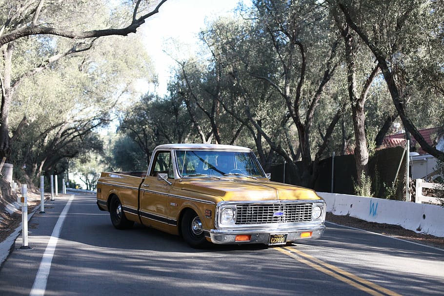 chevrolet c10, car, classic car, 1972, tree, transportation HD wallpaper