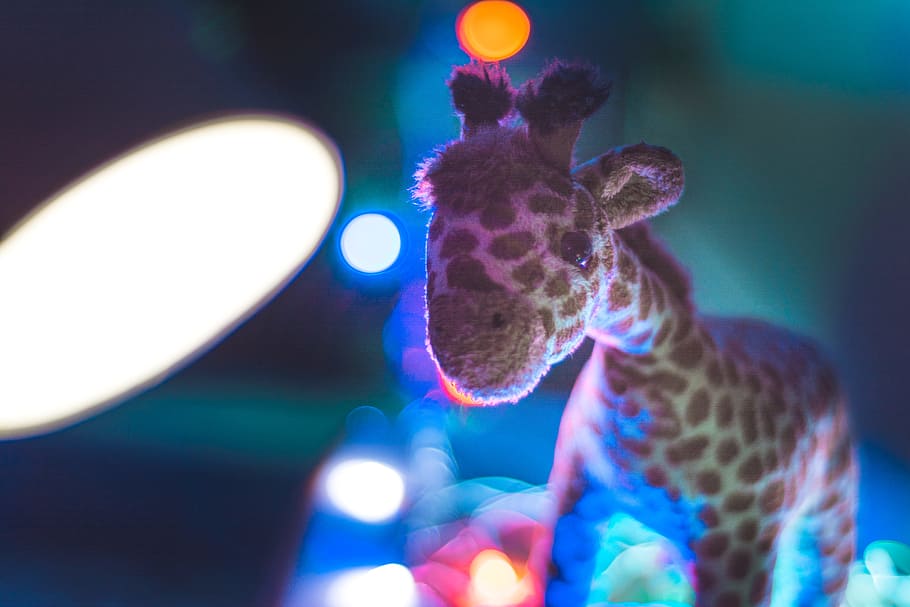 Giraffe Plush Toy Close Up Photo, animals, blue, blur, bokeh HD wallpaper