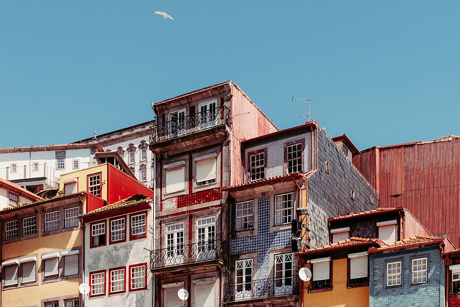white bird flying over grey and red buildings, architecture, building Exterior HD wallpaper