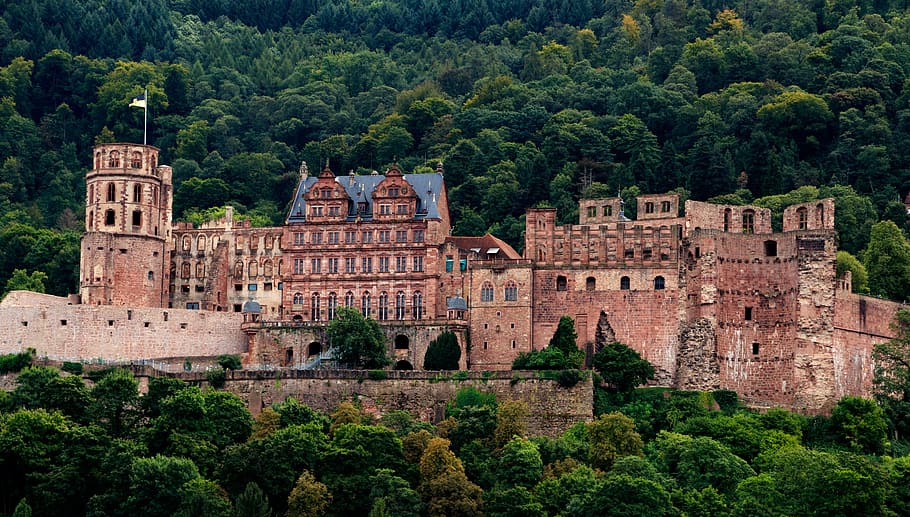 brown castle surrounded by trees, heidelberg, heidelberger schloss