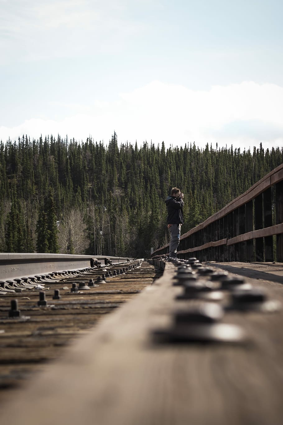 selective focus photography of person standing on train railway, man standing on railroad taking picture near trees during day HD wallpaper