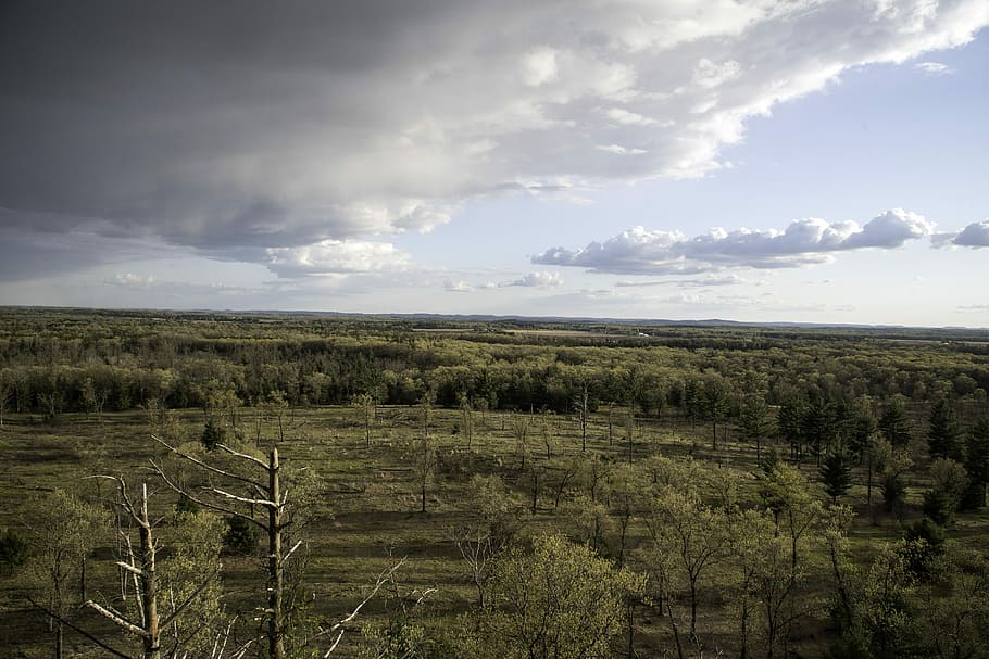 Trees over the landscape from Quincy Bluff, Wisconsin with clouds HD wallpaper