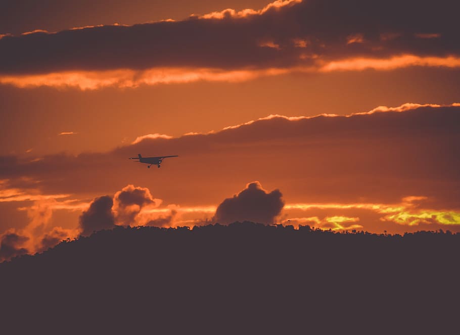 bird's eye view of flying airline, silhouette photo of flying plane HD wallpaper