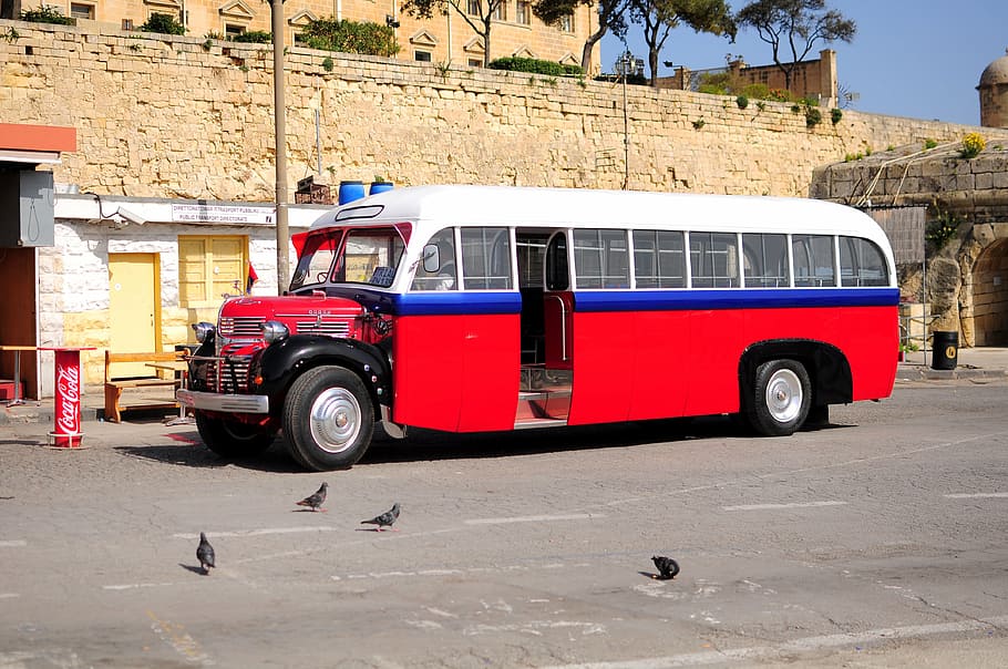 malta, bus, vintage, transportation, mode of transportation HD wallpaper