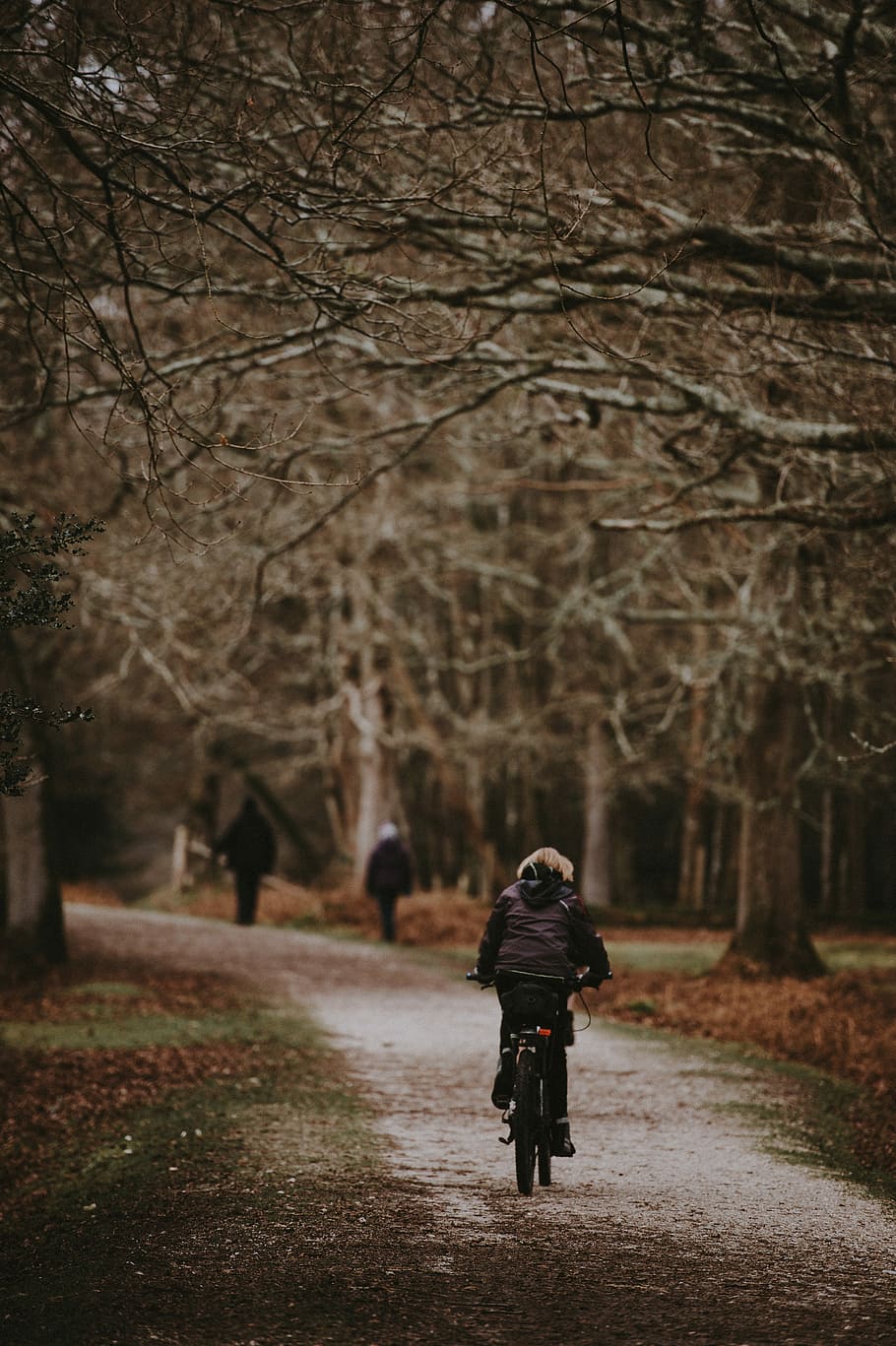 Woman cycling through the forest, shallow focus photo of person riding bicycle, HD wallpaper