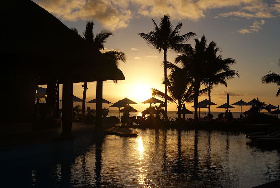 sunset, sea, beach, sand, palms, thatch, tropical climate, palm tree HD wallpaper