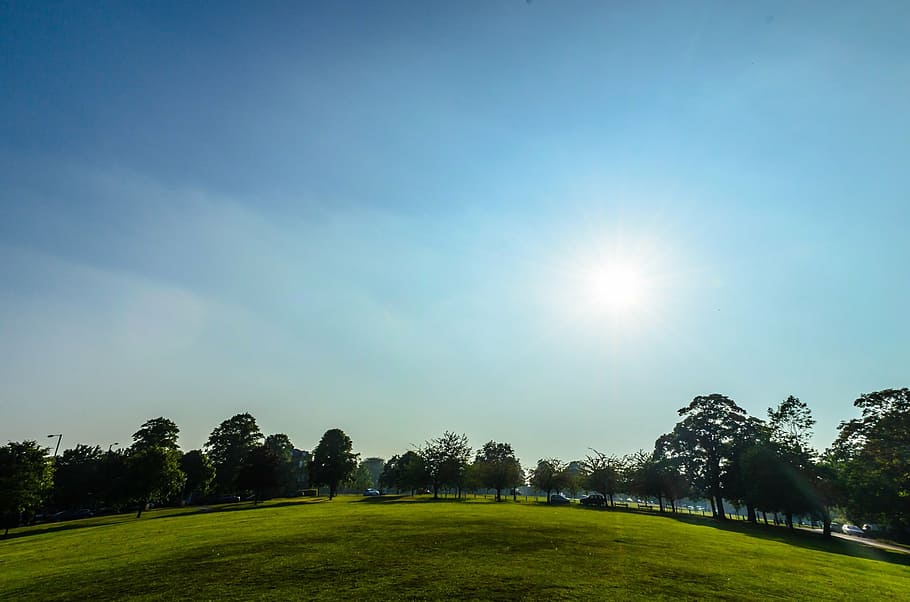 landscape, spring, sunny, lawn, grass, trees, park, colored HD wallpaper