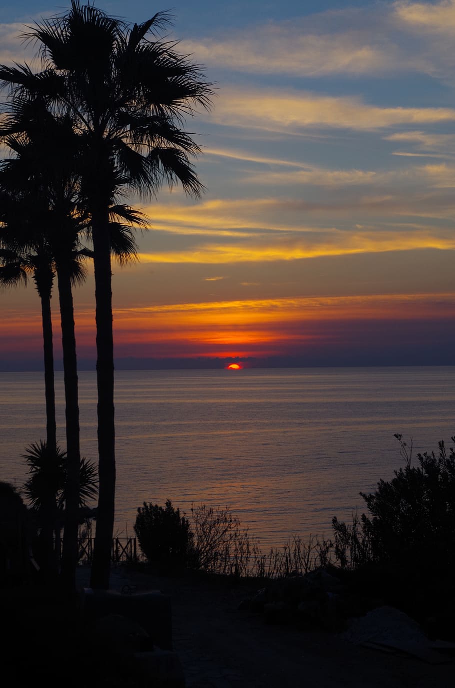 sunset, palm trees, mood, sea, mauritius, nature, evening sky, HD wallpaper