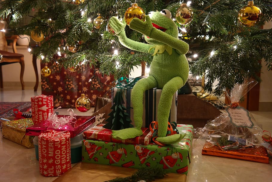 green frog plush toy beside Christmas tree, Kermit, Gifts, made, HD wallpaper