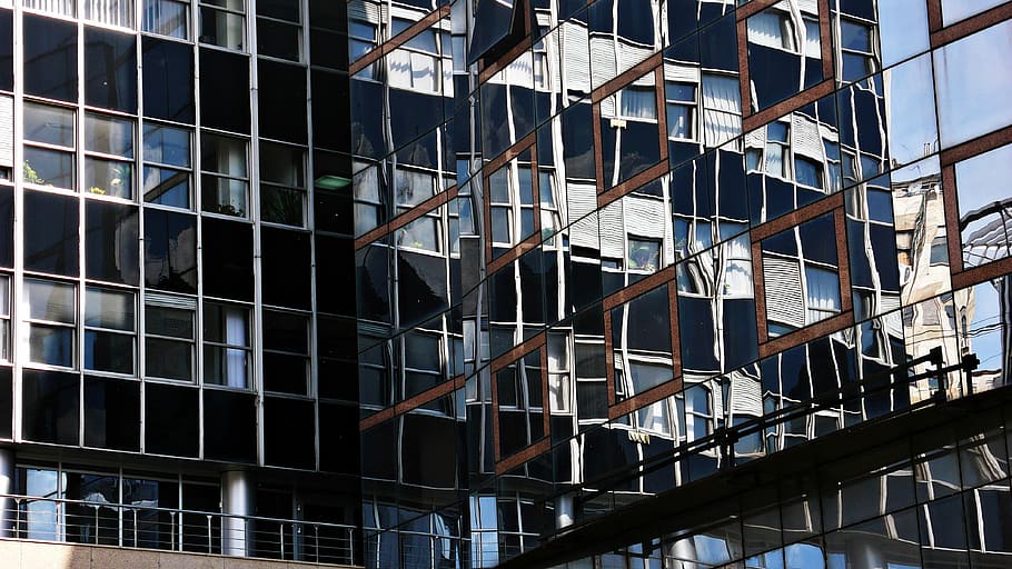 glass building, worms eye view of glass building, window, reflection HD wallpaper