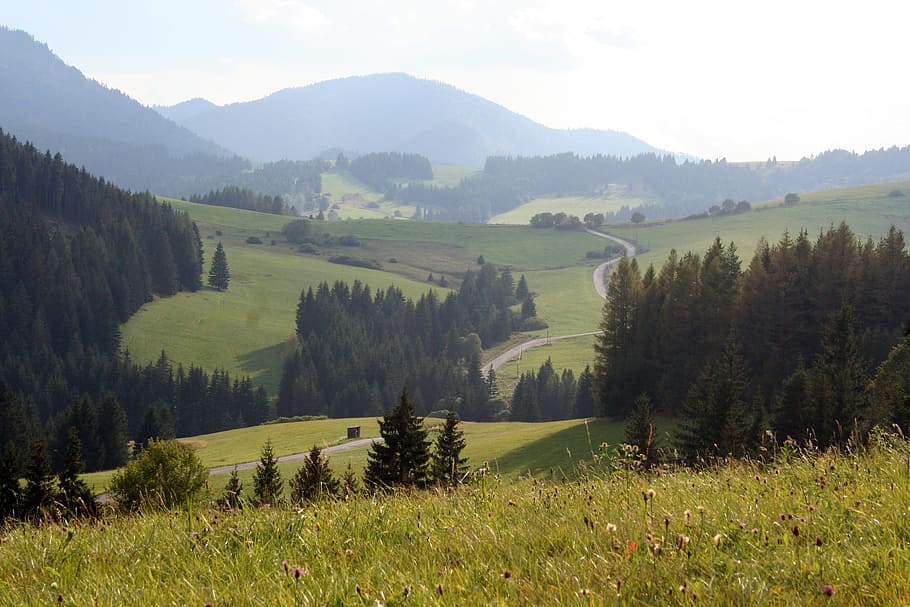 Priroda, Slovakia, Country, field, landscape, grass, nature, HD wallpaper