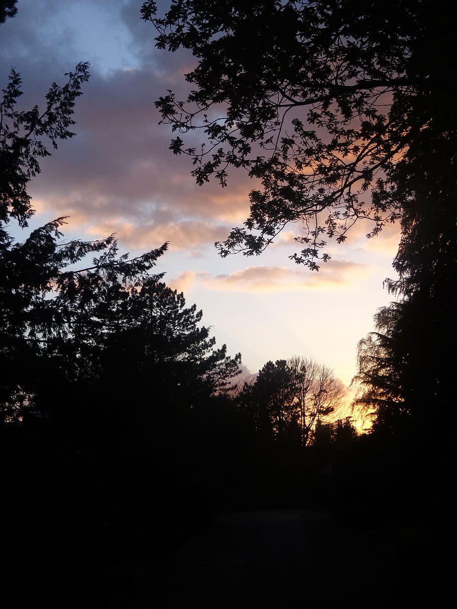 nature, sky, sunset, landscape, abendstimmung, dusk, clouds HD wallpaper