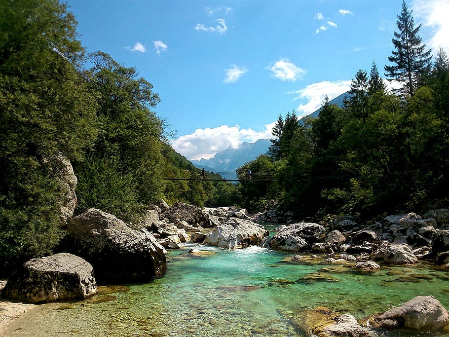 river surrounded by forest, landscape, bridge, nature, outdoor HD wallpaper