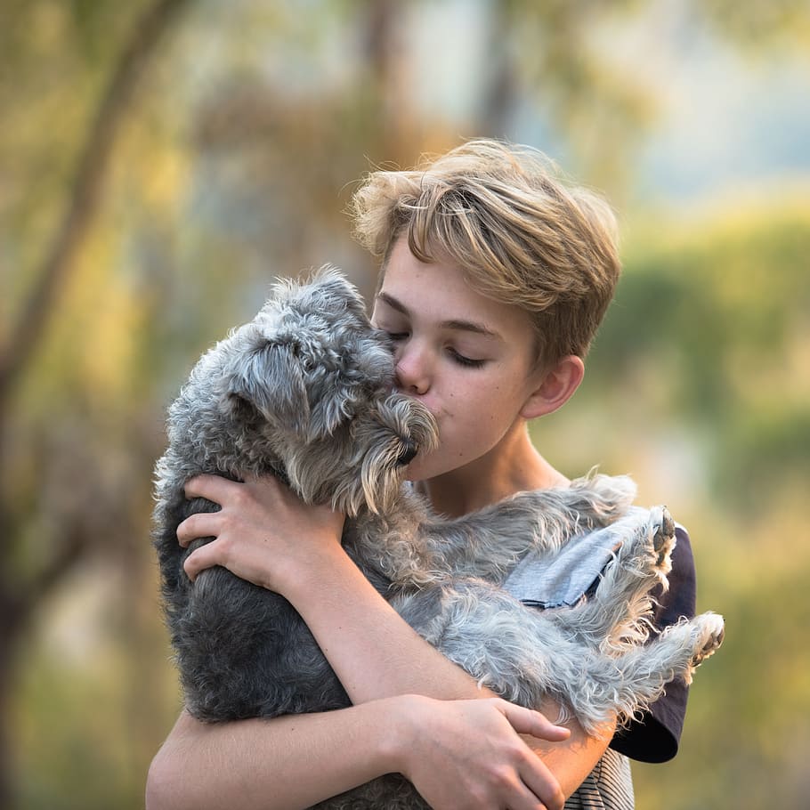 boy in black shirt holding gray dog, friendship, love, together