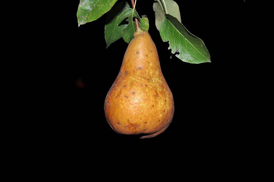 pear, summer, macro, food and drink, black background, healthy eating HD wallpaper