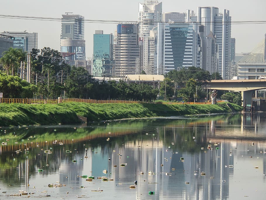 Trash, River Pines, Rubble, Pollution, pet bottle, sewer, são paulo HD wallpaper