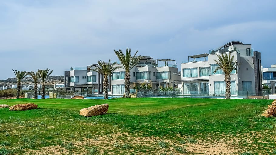 villa, palm trees, architecture, grass, modern, building, plant HD wallpaper