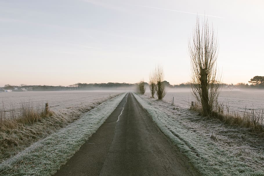 road, path, grass, field, mountain, view, landscape, nature HD wallpaper
