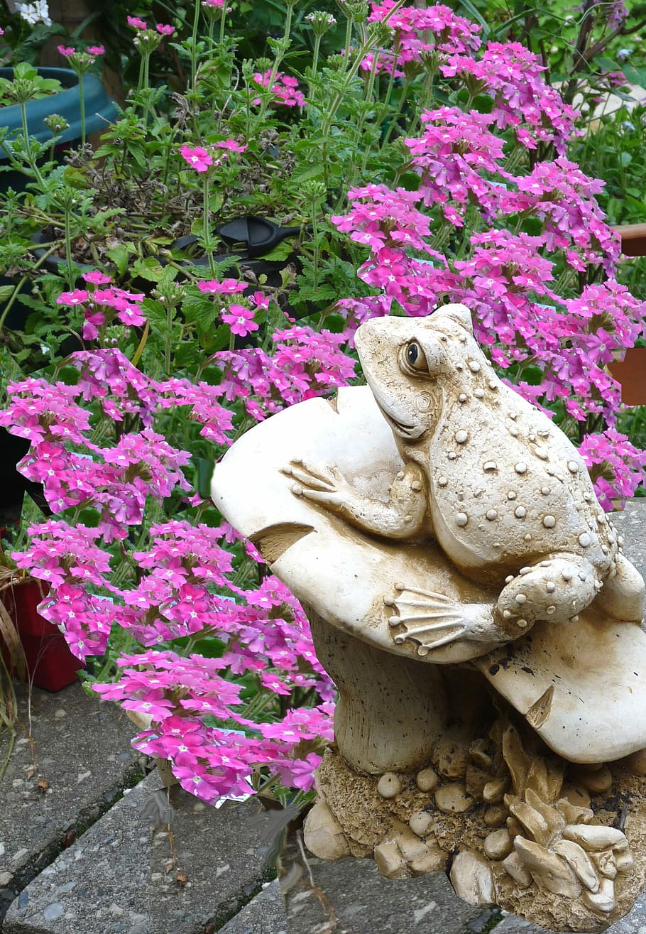 Frog, Garden, Statue, flower, pink color, plant, no people HD wallpaper
