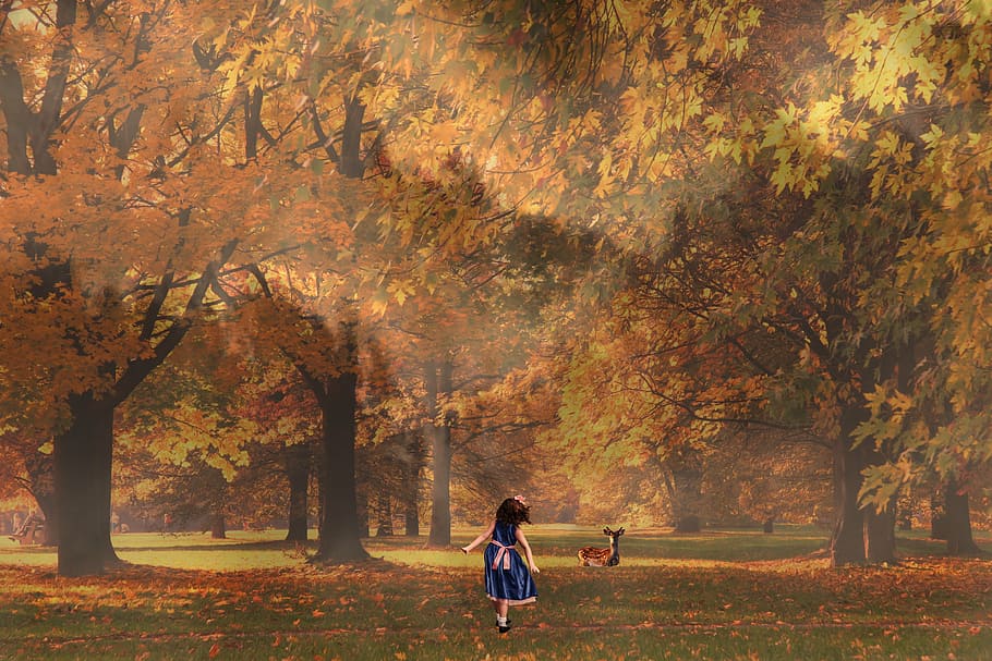 color, dynamic, green, orange, yellow, landscape, girl, autumn HD wallpaper