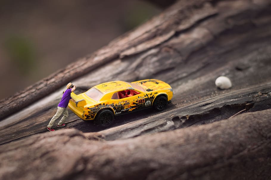 Miniature, Car, car miniature, one animal, yellow, animals in the wild HD wallpaper