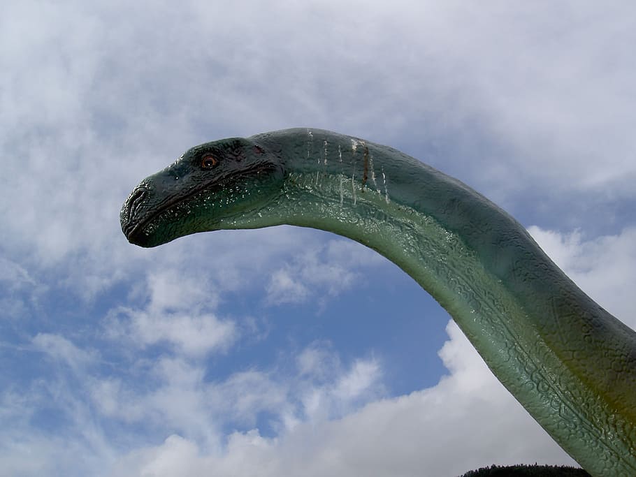 dinosaur, long jibe, park, sky, cloud - sky, animal, one animal HD wallpaper