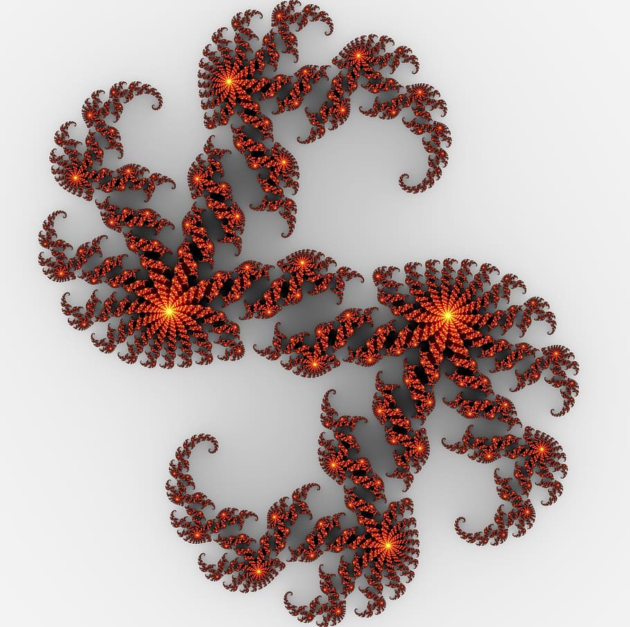 fractal, computer graphics, color, mysterisch, abstract, creative HD wallpaper