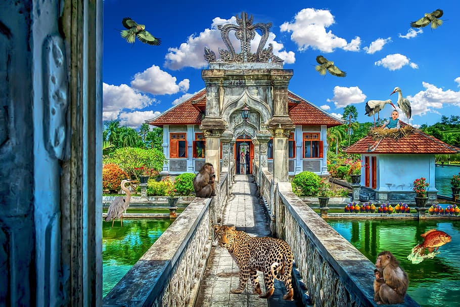 Bali, Exotic, Animals, Composite, architecture, house, outdoors HD wallpaper