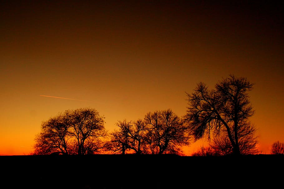sunset, red, tree, in the evening, shadow, sky, fire, silhouette HD wallpaper