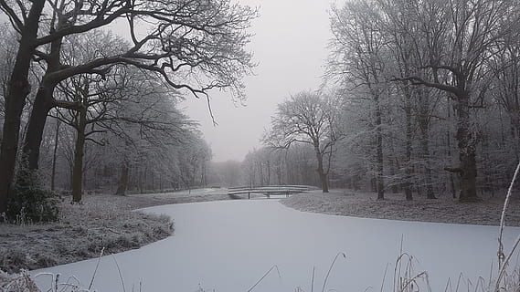 body of water in the middle of forest during winter, Snow, Ice HD wallpaper