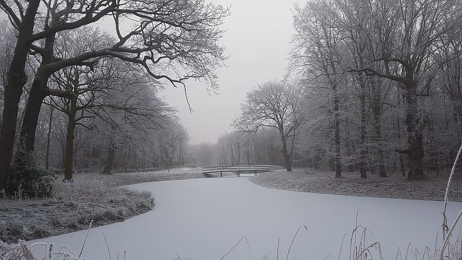 body of water in the middle of forest during winter, Snow, Ice HD wallpaper