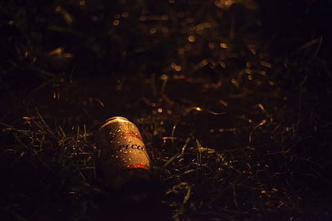 gray and red beverage can on grasses, beer can on green grass HD wallpaper