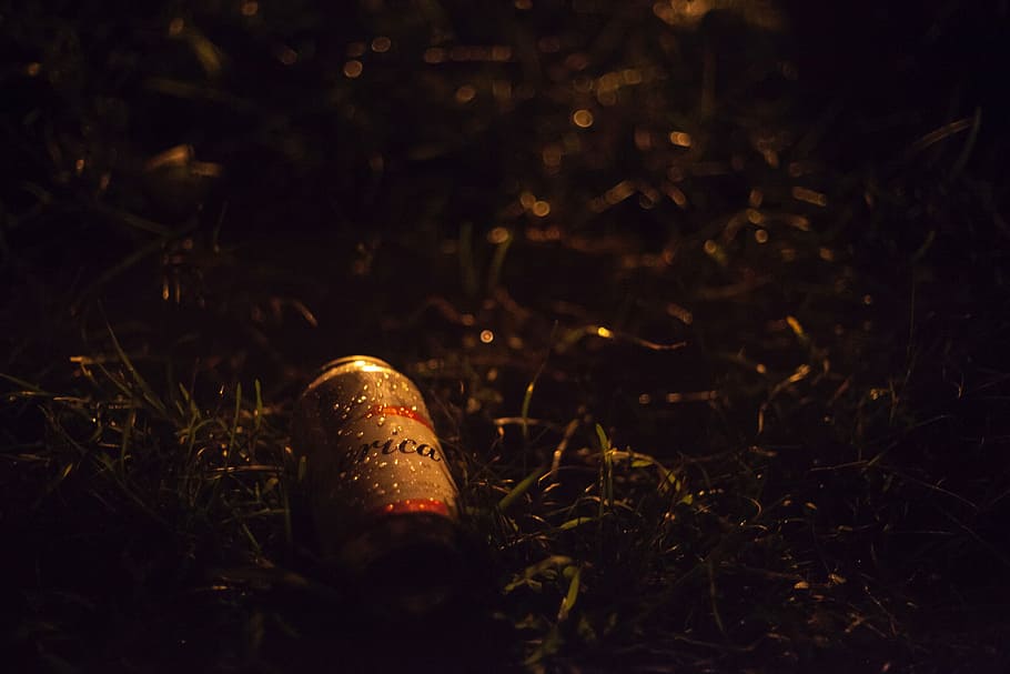 gray and red beverage can on grasses, beer can on green grass HD wallpaper
