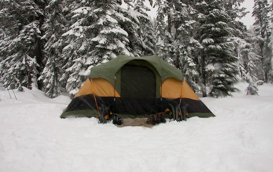 tent on snow field, green, black, and orange tent, camping, shelter, HD wallpaper