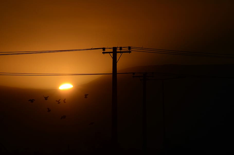 Desesperate Times, utility post during daytime, night, sky, silhouette HD wallpaper