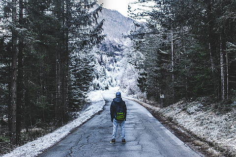 person walks on road surround by pine trees, forest, mountain HD wallpaper