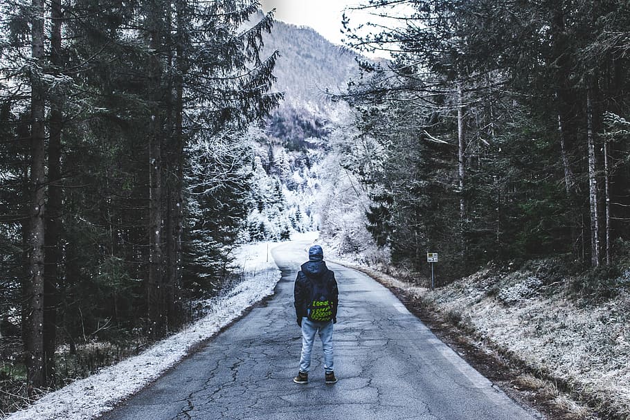 person walks on road surround by pine trees, forest, mountain HD wallpaper