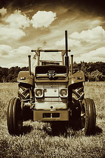 tractor, oldtimer, massey ferguson, agriculture, tractors, commercial vehicle HD wallpaper